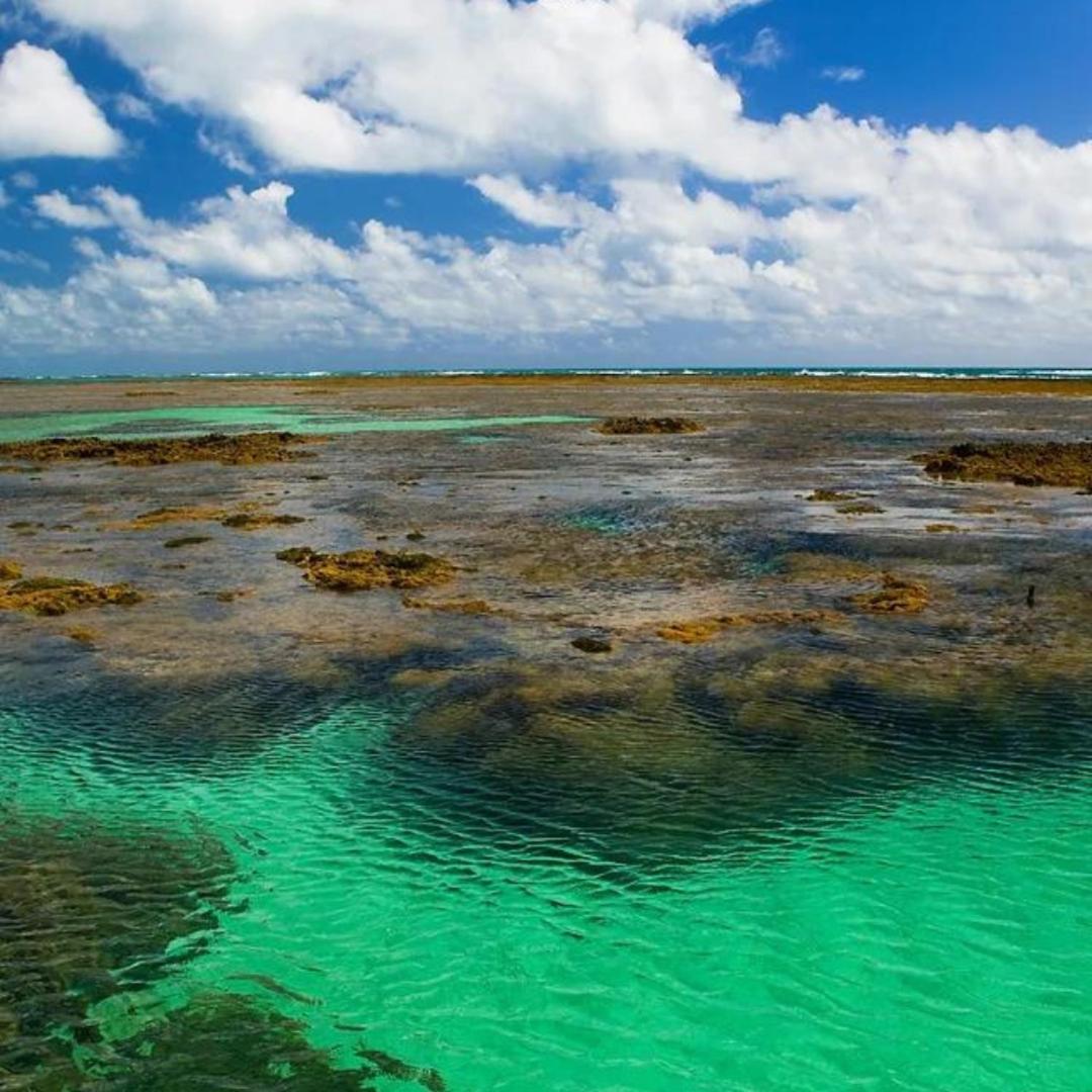 Pousada Solar Dos Carneiros Praia dos Carneiros Εξωτερικό φωτογραφία